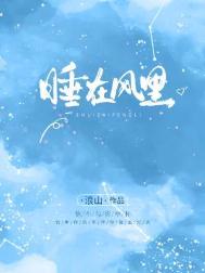 睡在风里小说
