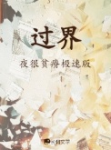 过界小说