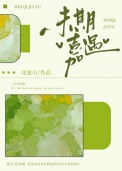 未期嘉遇小说