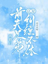 离婚后，前夫兄弟总是纠缠不休小说