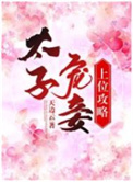 太子宠妾上位攻略图片