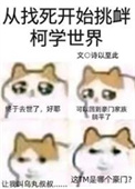 《（柯南同人）从找死开始挑衅柯学世界》