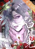被公用的白月光小说