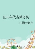 在70年代当乘务员小说