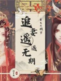 重生之殿下追妻遥遥无期