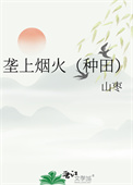 垄上烟火（种田）