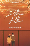 二流人生